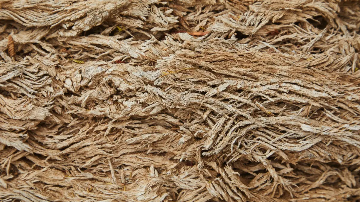 Deux échantillons d'isolant biosourcé, laine de bois et ouate de cellulose, sur un plancher de combles